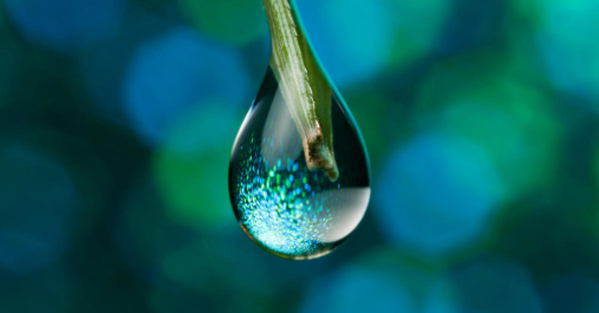 Xtrackers Insights Xtrackers By Dws