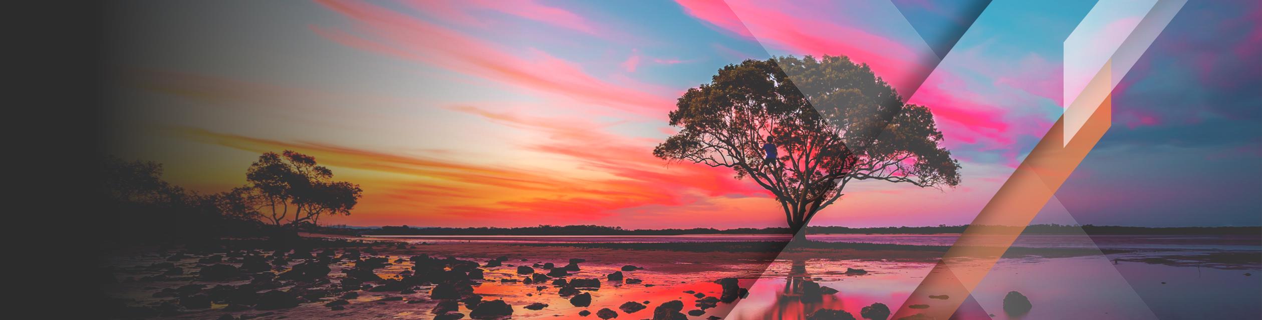 Xtrackers ETFs Xtrackers by DWS